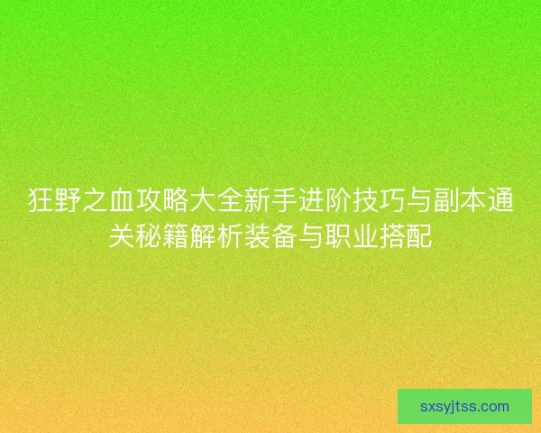 狂野之血攻略大全新手进阶技巧与副本通关秘籍解析装备与职业搭配
